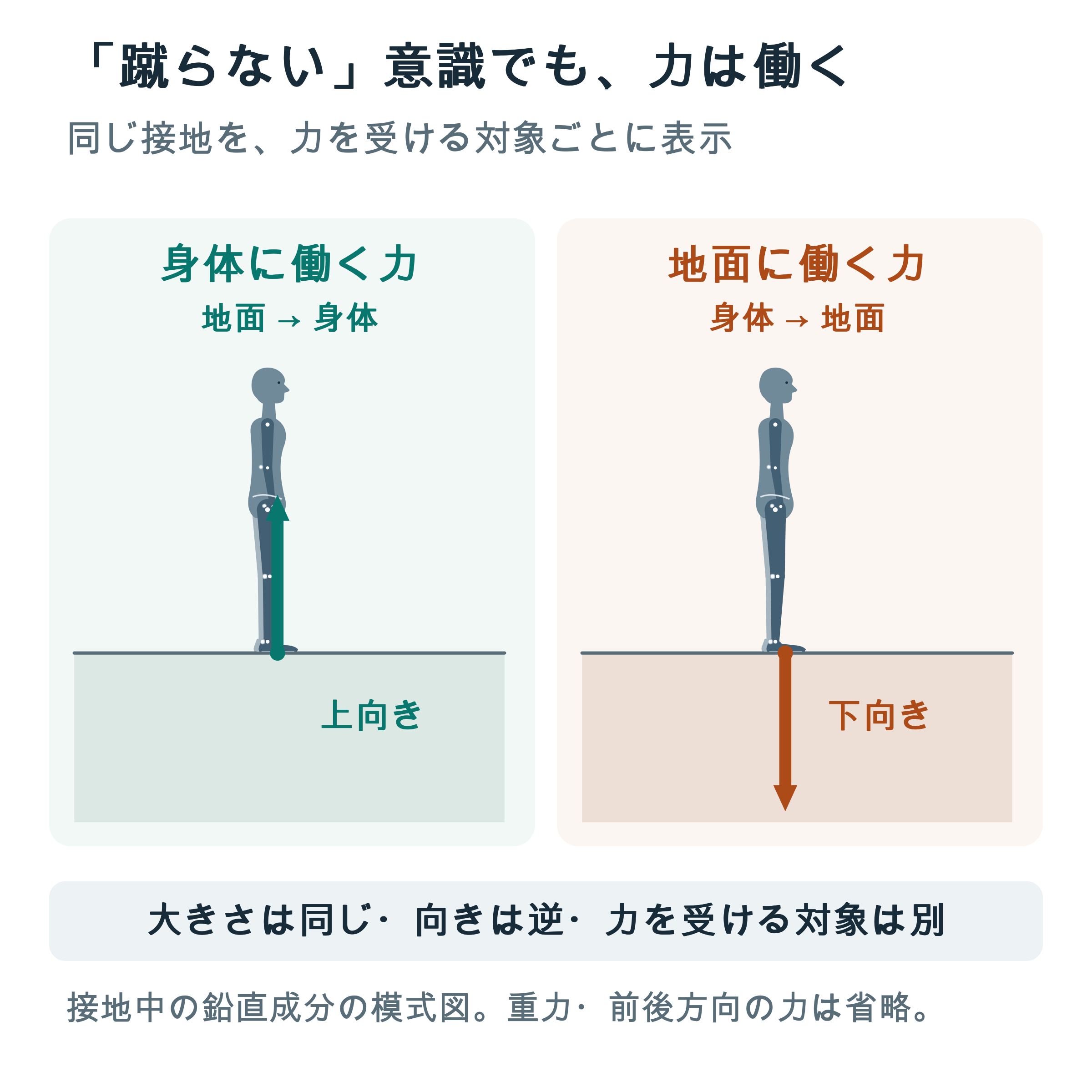 同じ接地を力の受け手ごとに分けた模式図。右向きの人について、左は地面が身体へ加える上向きの力、右は身体が地面へ加える下向きの力を示す。等大・逆向きで別の物体に働く。重力と水平成分は省略。