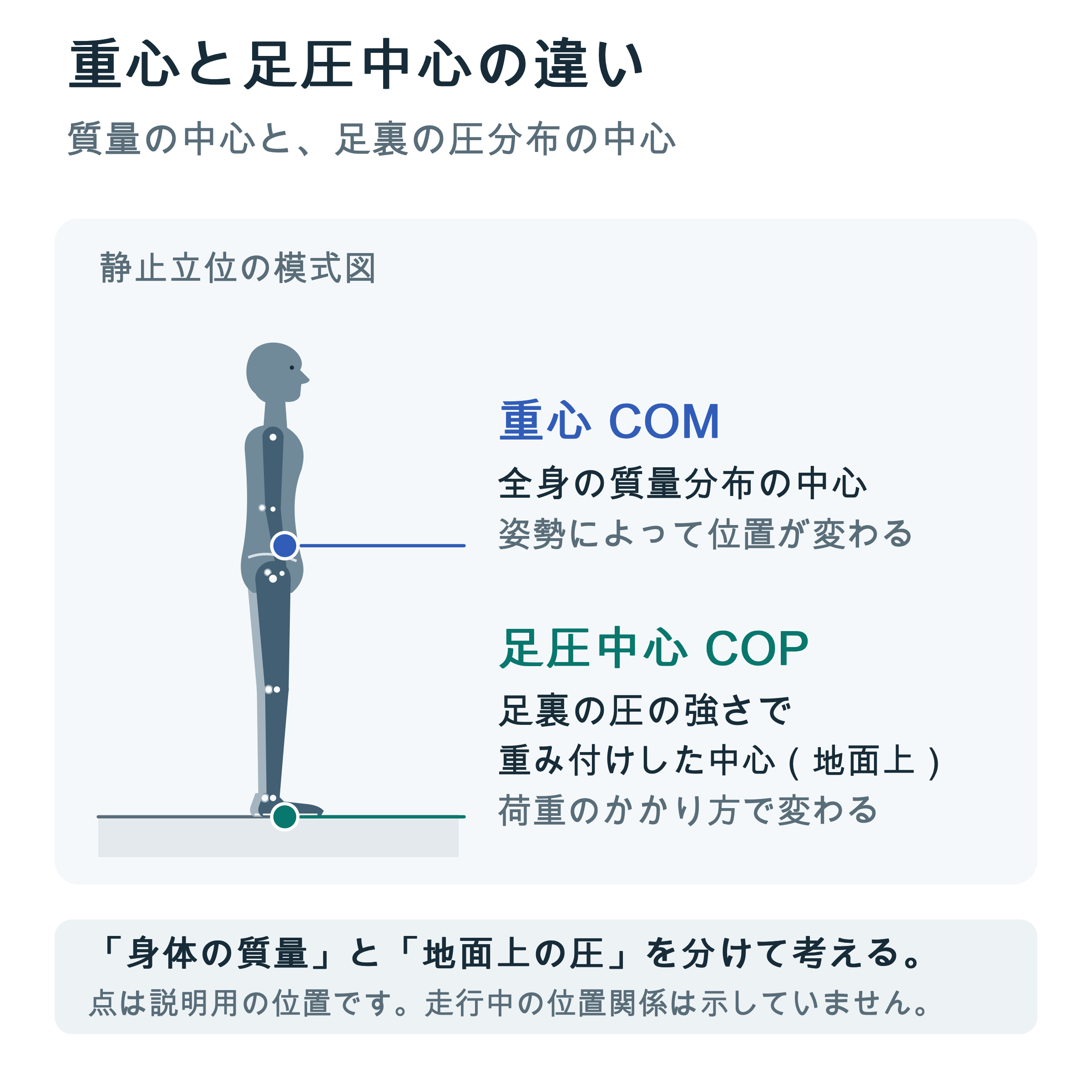 右向きの静止立位の模式図。青点の重心COMは全身の質量分布の中心、地面上の緑点の足圧中心COPは足裏の圧の強さで重み付けした中心。点は説明用の位置で、走行中の位置関係は示していない。