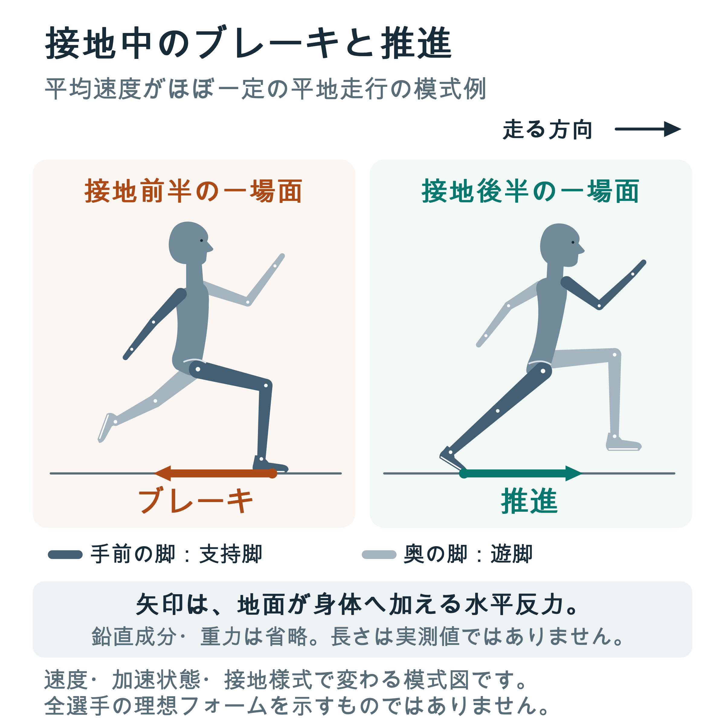 右向きの走行模式図。接地前半は前方の支持膝を曲げ、遊脚を後方へ伸ばす。接地後半は支持脚を後方へ伸ばし、前へ上げた遊脚の膝から下腿をほぼ下へ下ろす。地面から身体への水平反力は前半に後向き、後半に前向き。模式図で、鉛直成分と重力は省略。